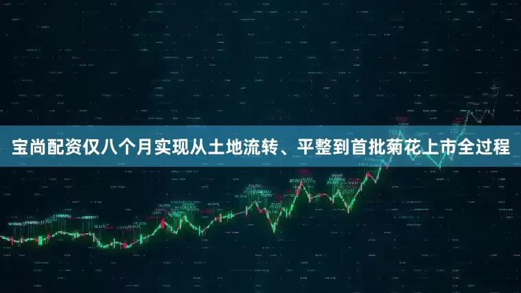 宝尚配资仅八个月实现从土地流转、平整到首批菊花上市全过程