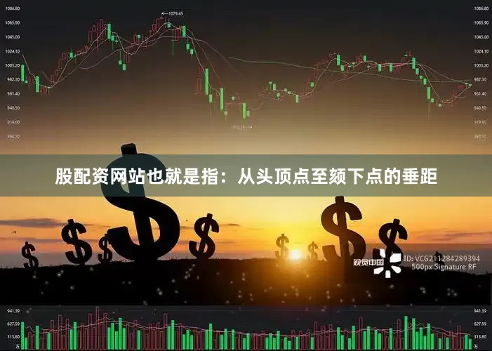 股配资网站也就是指：从头顶点至颏下点的垂距