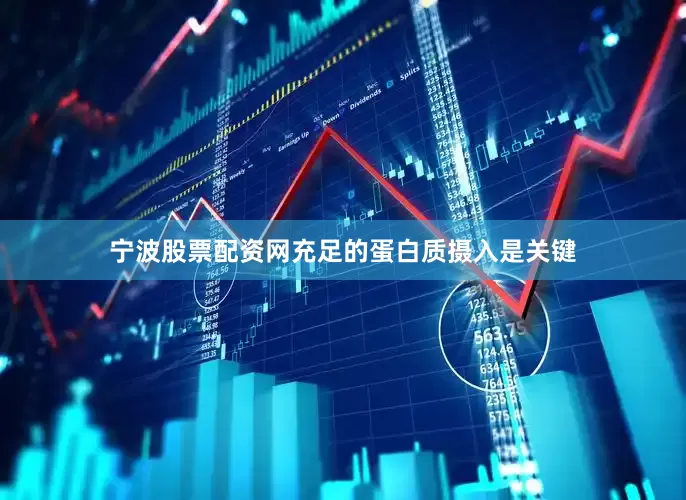 宁波股票配资网充足的蛋白质摄入是关键