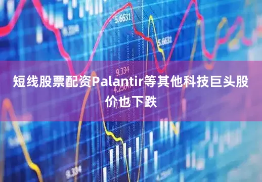 短线股票配资Palantir等其他科技巨头股价也下跌