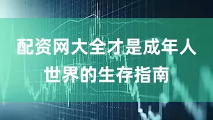 配资网大全才是成年人世界的生存指南