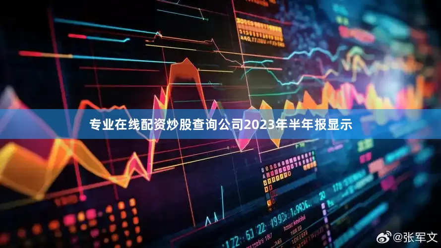专业在线配资炒股查询公司2023年半年报显示