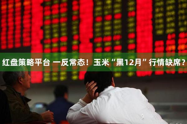 红盘策略平台 一反常态！玉米“黑12月”行情缺席？