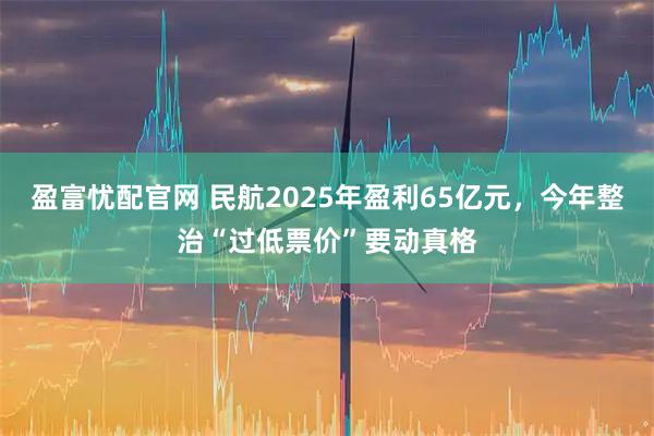 盈富忧配官网 民航2025年盈利65亿元，今年整治“过低票价”要动真格